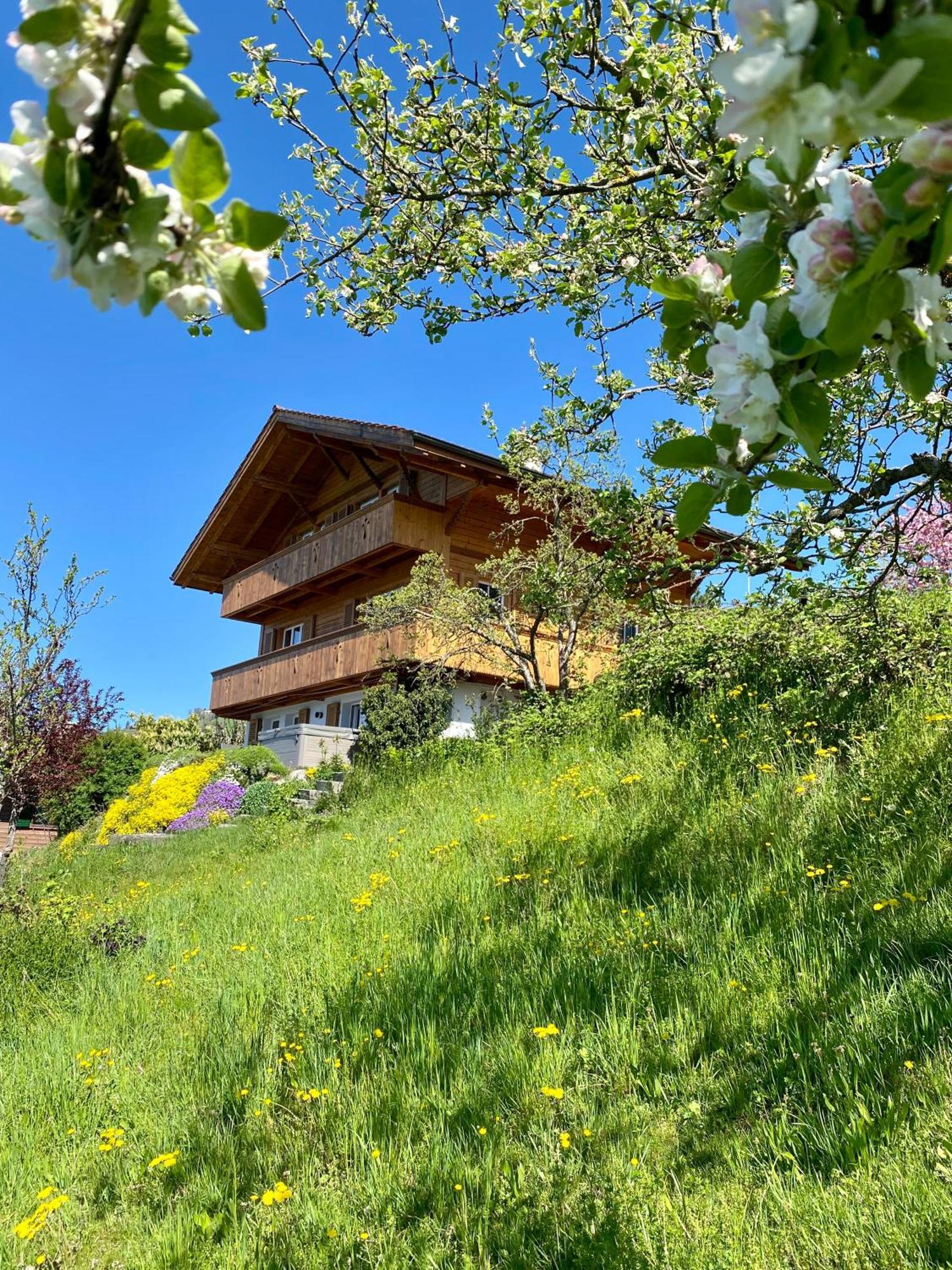 Chalet Egglen "Typical Swiss House, Best Views, Private Jacuzzi" Sigriswil Bagian luar foto