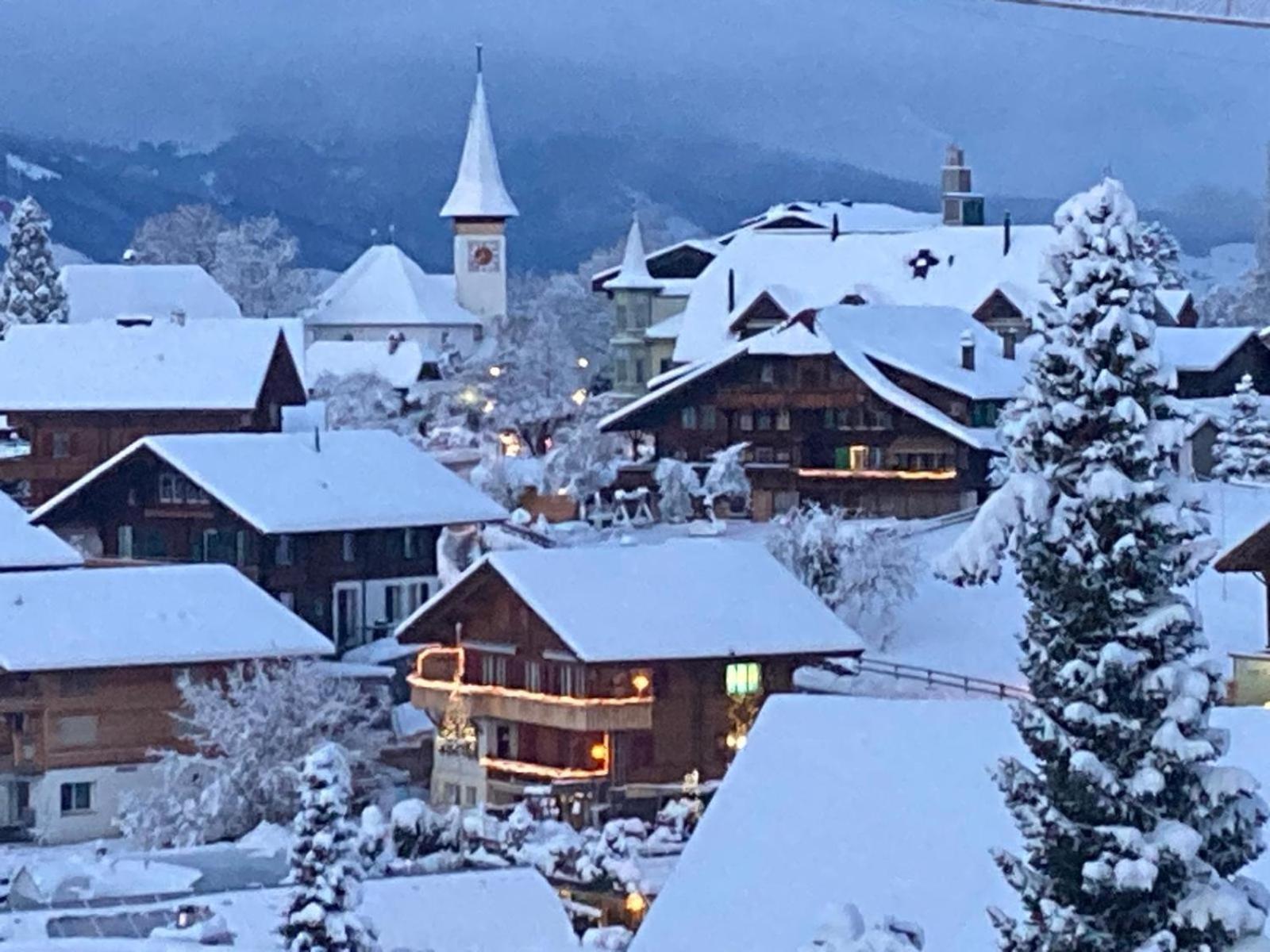 Chalet Egglen "Typical Swiss House, Best Views, Private Jacuzzi" Sigriswil Bagian luar foto