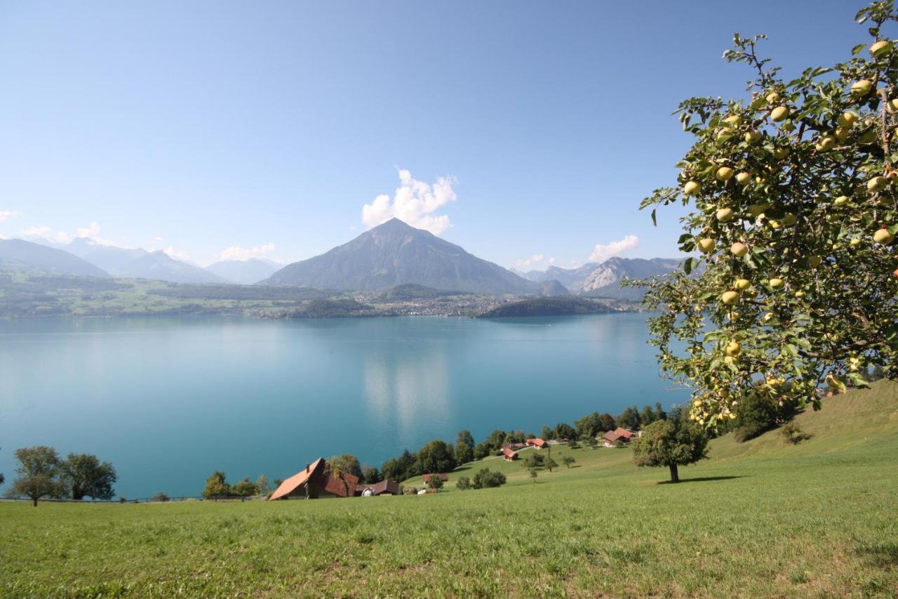 Chalet Egglen "Typical Swiss House, Best Views, Private Jacuzzi" Sigriswil Bagian luar foto