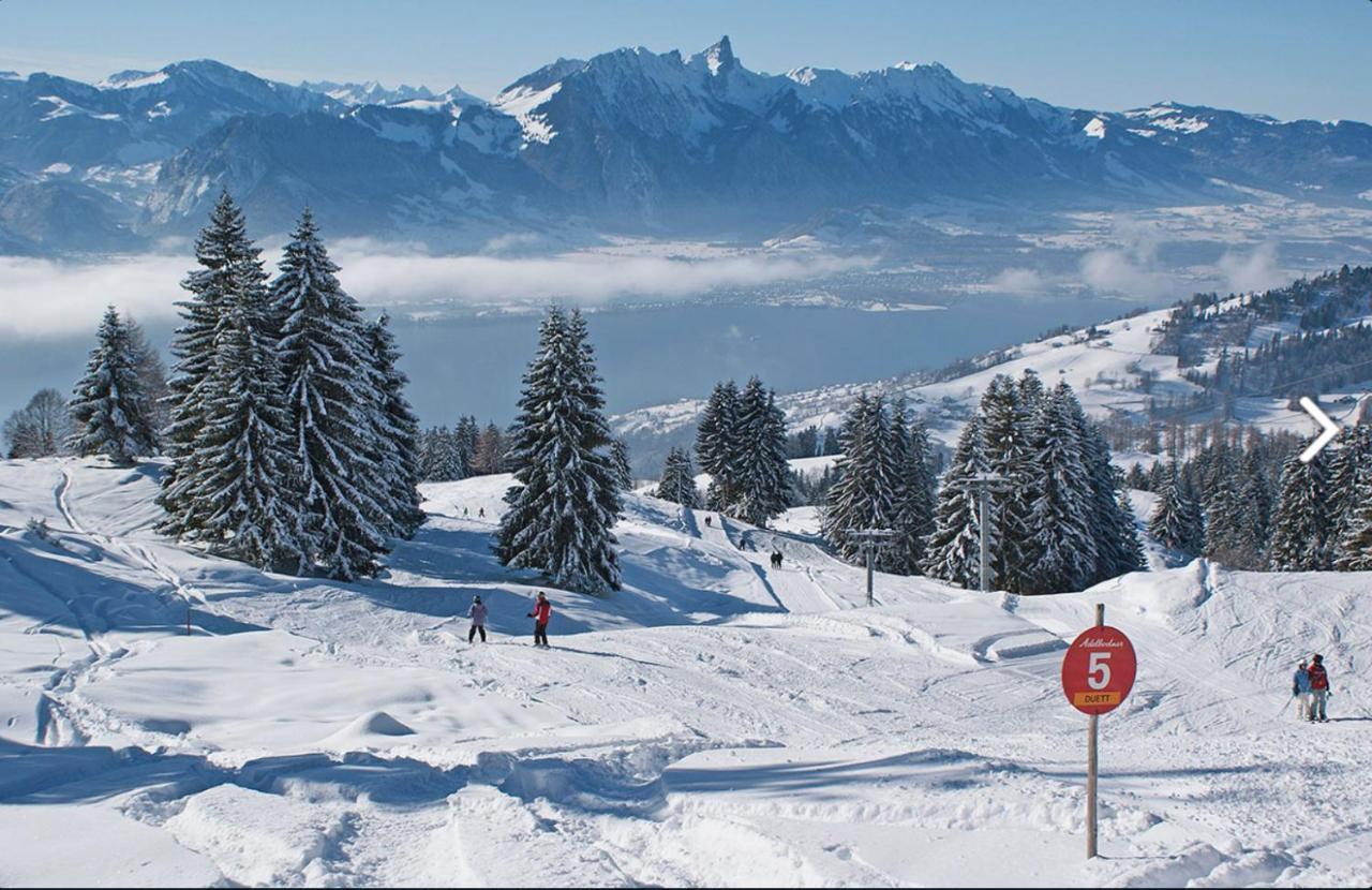 Chalet Egglen "Typical Swiss House, Best Views, Private Jacuzzi" Sigriswil Bagian luar foto