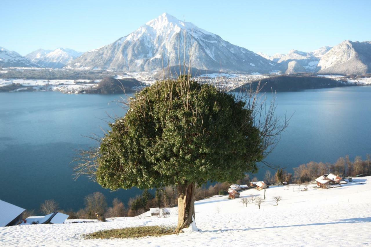Chalet Egglen "Typical Swiss House, Best Views, Private Jacuzzi" Sigriswil Bagian luar foto