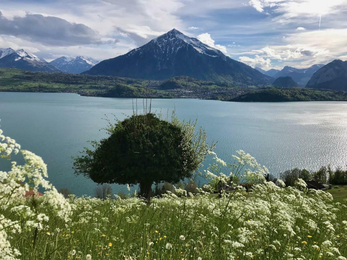 Chalet Egglen "Typical Swiss House, Best Views, Private Jacuzzi" Sigriswil Bagian luar foto